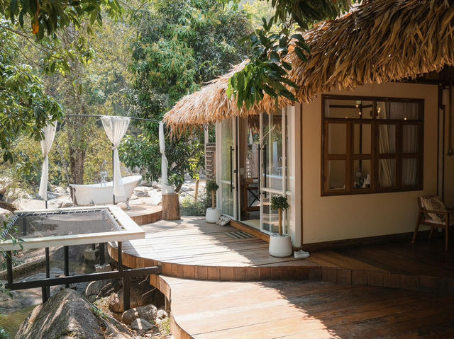 หลบความวุ่นวายมาผ่อนคลายที่ Stay Wild & Cafe 🕊️🌳