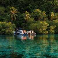 A Diver’s Paradise: The Untouched Beauty of Raja Ampat