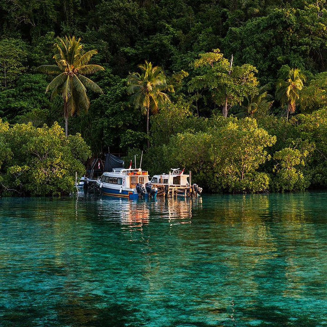 A Diver’s Paradise: The Untouched Beauty of Raja Ampat