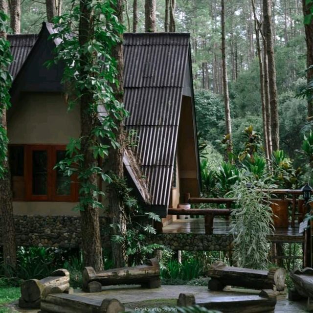 สวนป่าดอยบ่อหลวง อำเภอฮอด เชียงใหม่
