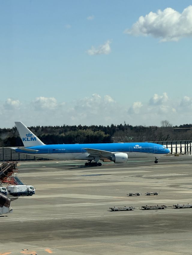 【千葉(成田)】何度でもいける!飛行機好き必見!飛行機が間近でみられる! 【千葉(成田)】何度でもいける!飛行機好き必見!飛行機が間近でみられる!