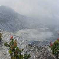Bandung With View : Tangkuban Perahu : Horse Ride