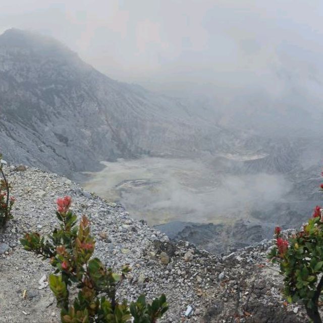 Bandung With View : Tangkuban Perahu : Horse Ride