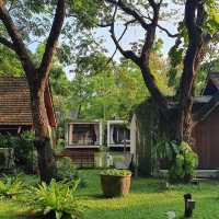 Cocoon.bkk อยู่ตรงข้าม "เมกาบางนา"