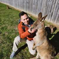 Experience Tasmania’s Wildlife at East Coast Natureworld, Bicheno