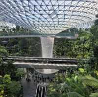 Visit the Most Beautiful Airport in the World 🌎 