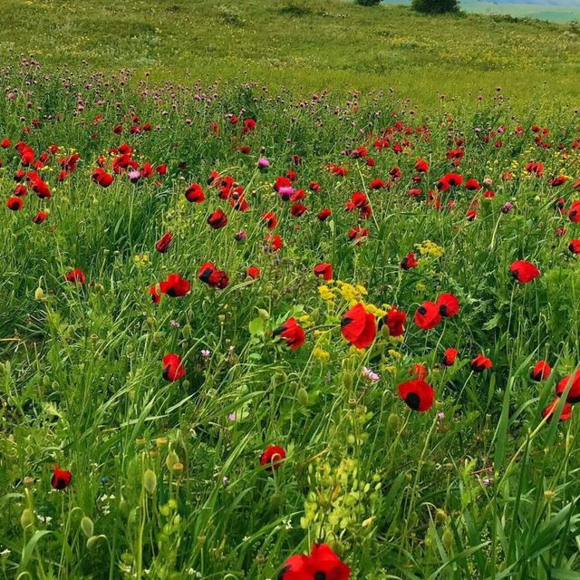 Discover the Majestic Daglar Mountains in Turkey 🇹🇷