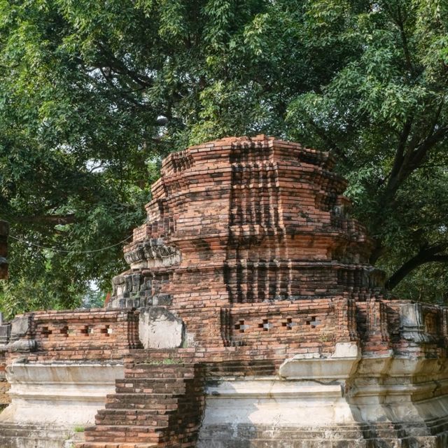 สำรวจโบราณสถานกลางกรุงอยุธยาที่สะพานบ้านดินสอ
