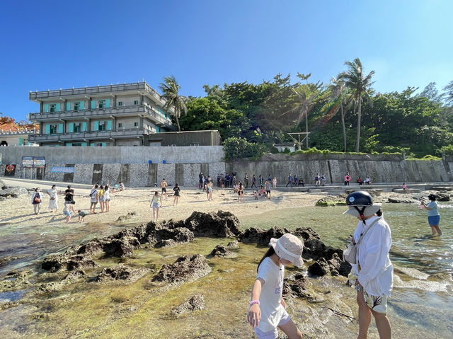屏東琉球 知名景點可以看到海龜 花瓶石