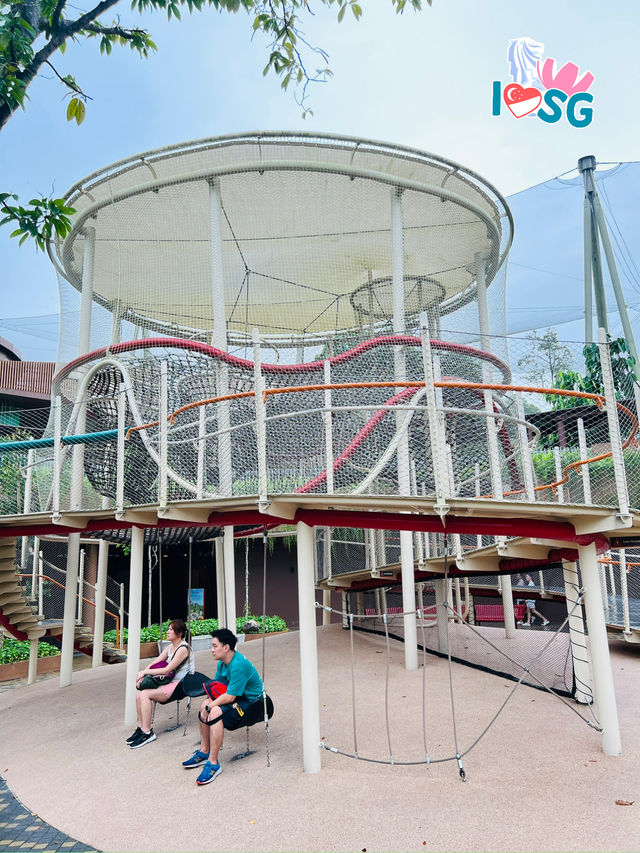 🇸🇬 Play at Treetop Play