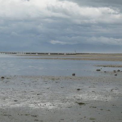 "Motueka Beach: A Tranquil Coastal Retreat on New Zealand’s South Island"