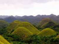 The Chocolate Hills: remarkable geological formation and iconic hills in the island of Bohol. 