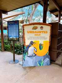 Watching the Wildlife Performances at Singapore Zoo