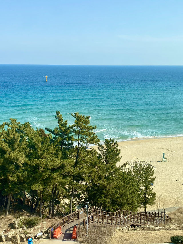 ☀️여름하면 바다! 동해안 바다여행🌊🏖️