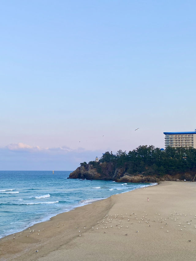 ☀️여름하면 바다! 동해안 바다여행🌊🏖️