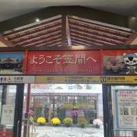 笠間稲荷神社！！