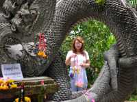ไหว้พญานาค วัดป่าคลอง11