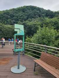 폭포랑 출렁다리 선녀탕까지 볼수 있는곳💚