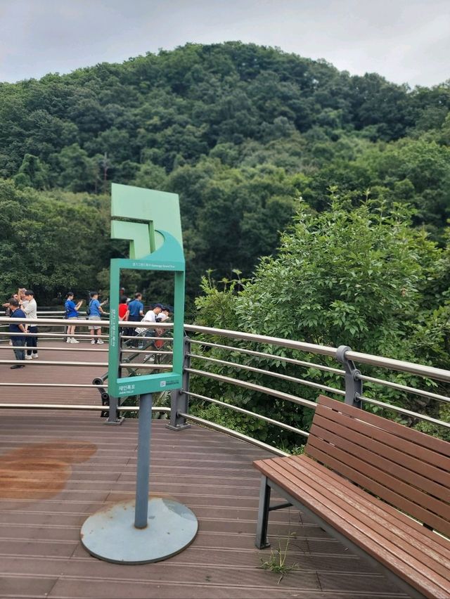 폭포랑 출렁다리 선녀탕까지 볼수 있는곳💚