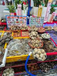 Jagalchi Seafood Market Busan 🦞🐟🐠🐚