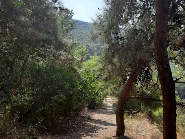 【土耳其伊斯坦布爾】布爾加達島：迷人海濱自然風光，古跡遺址，適合徒步旅行和泡水游泳