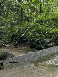 น้ำตกแม่กำปอง | จ.เชียงใหม่ 🪨💦🌿🌳
