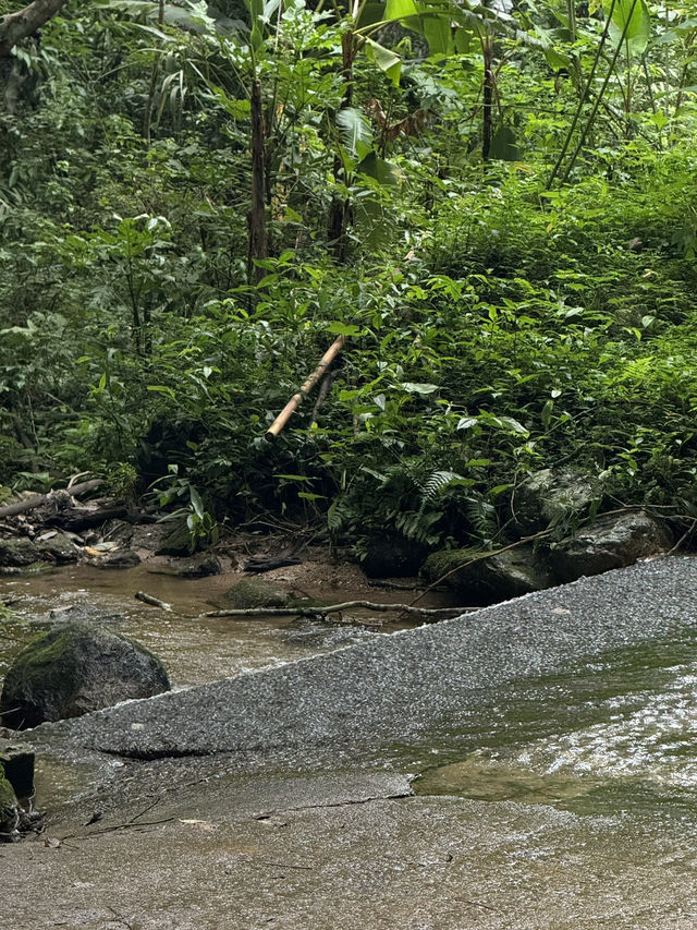 น้ำตกแม่กำปอง | จ.เชียงใหม่ 🪨💦🌿🌳