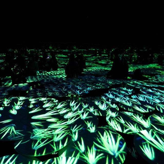 Tokyo Teamlab Borderless