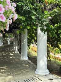 🌺 Garden of National Flower