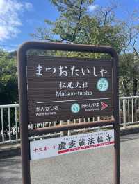 松尾大社の静寂と甘味：みたらし団子で味わう癒しのひととき