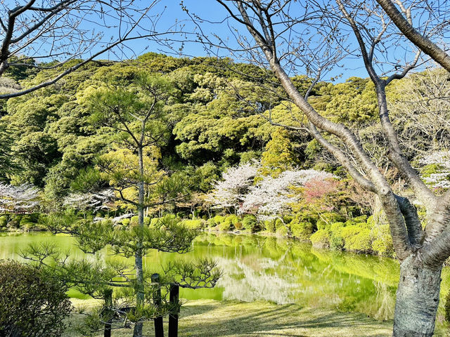 🇯🇵 九州別府 來這裡就夠了！♨️