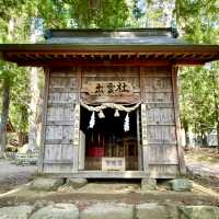 【山梨県】樹齢1200年以上の7本杉が見られる