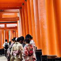 Wonderful day at Fushimi Inari Taisha