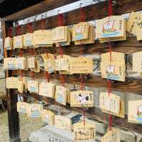 大坂ㅣ參天巨木加持ㅣ有神靈的澁川神社