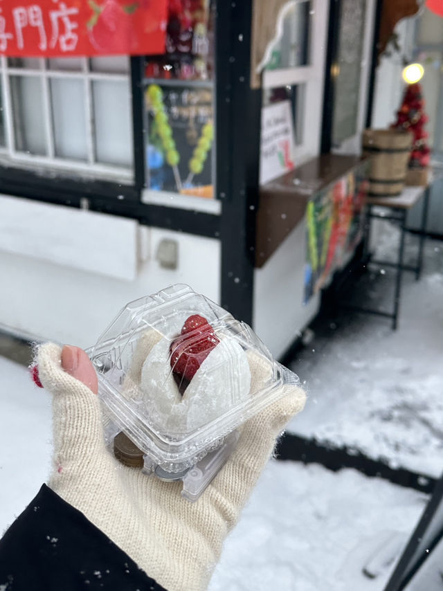 A Day Trip to Otaru: Exploring Hokkaido’s Historic Canal Town 🌊🏘️  