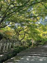 探索大阪勝尾寺：歷史悠久的靜謐聖地🏯🌸
