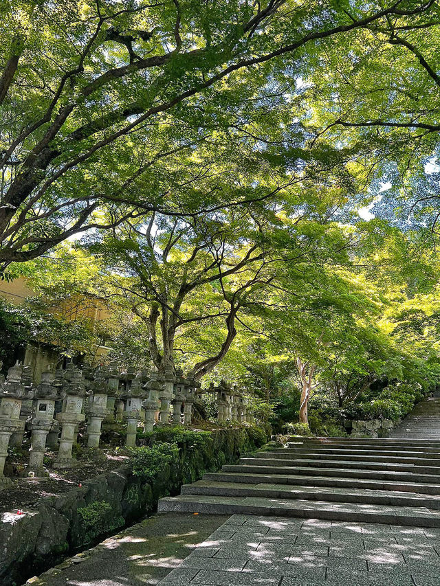 探索大阪勝尾寺：歷史悠久的靜謐聖地🏯🌸