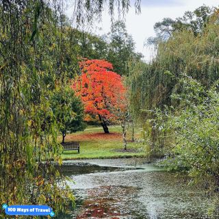 Blossoms & Steam: A Dreamy Day at Exbury Gardens 🇬🇧