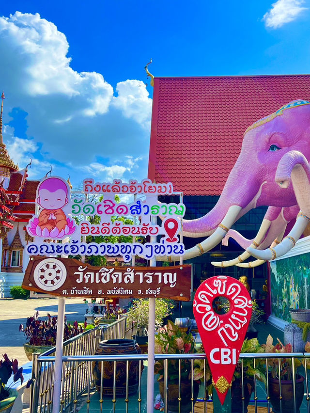 สายมูต้องมา
