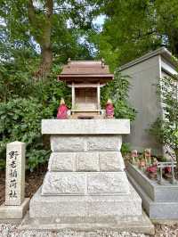 【埼玉県】花手水から癒しチャージ！