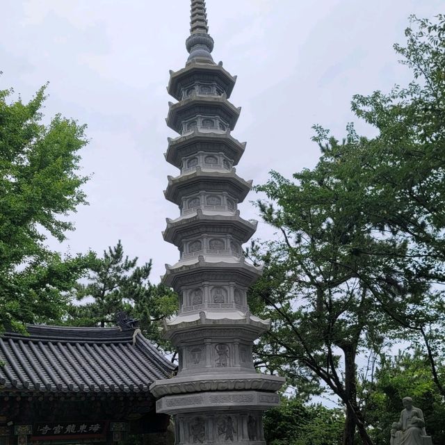 12간지를 볼 수 있는 해동용궁사