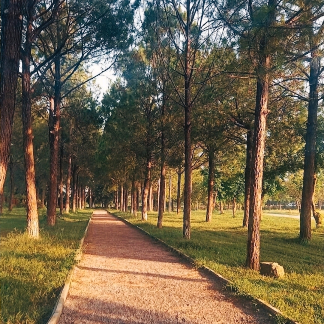 @ FATIMA JINNAH PARK.