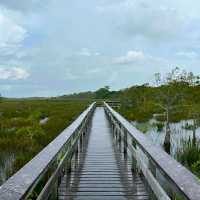 VISITING THE EVERGLADES NATIONAL PARK.