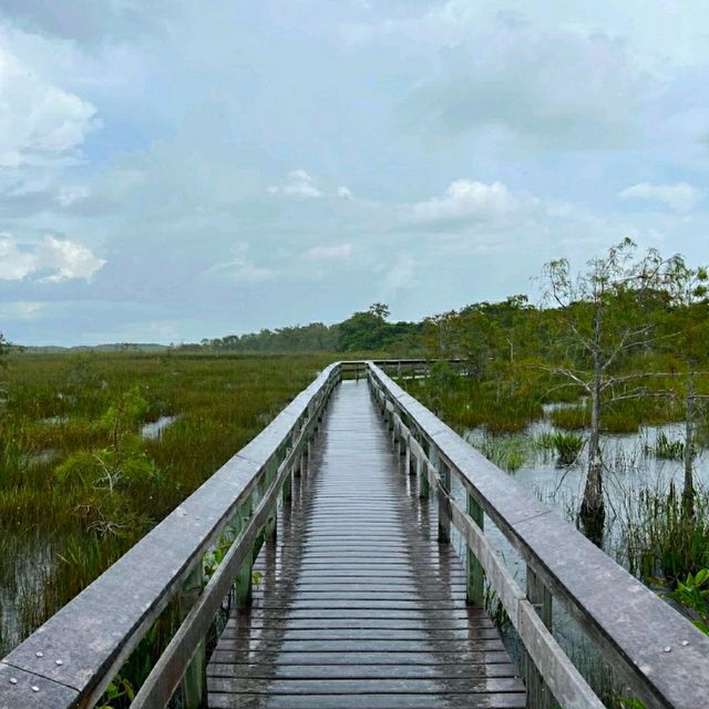 VISITING THE EVERGLADES NATIONAL PARK.
