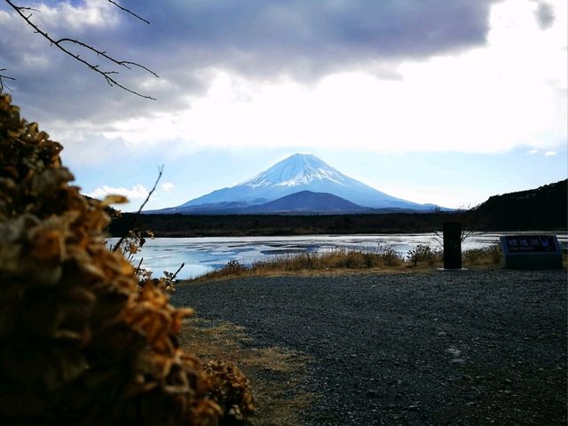 各種角度都美的富士山！不用自駕也能來東京近郊郊遊吧