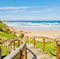 Garden Route - a magnificent road trip along the ocean $ port Elizabeth to Cape Town 