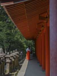 【奈良の世界遺産】春日大社⛩️