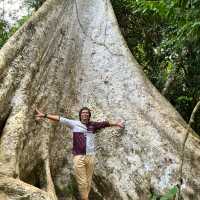 My Taman Negara Adventure!