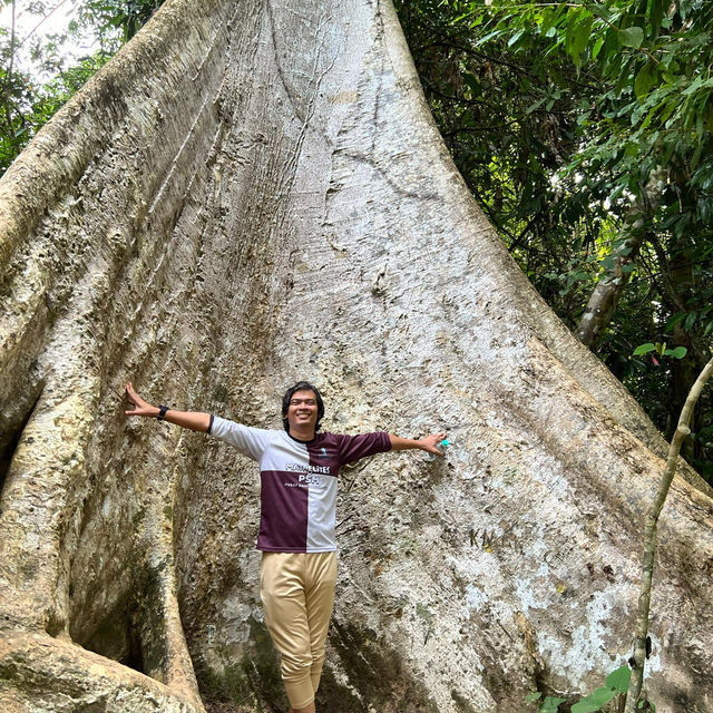 My Taman Negara Adventure!