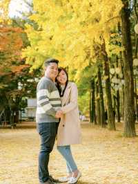 Picturesque Nami island in Fall 🍂🍁